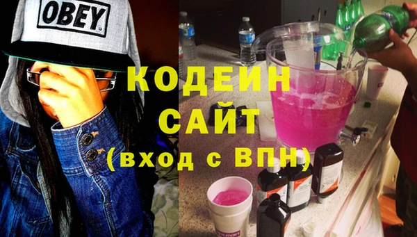 индика Волоколамск