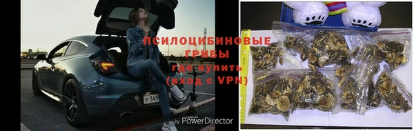 гашик Володарск